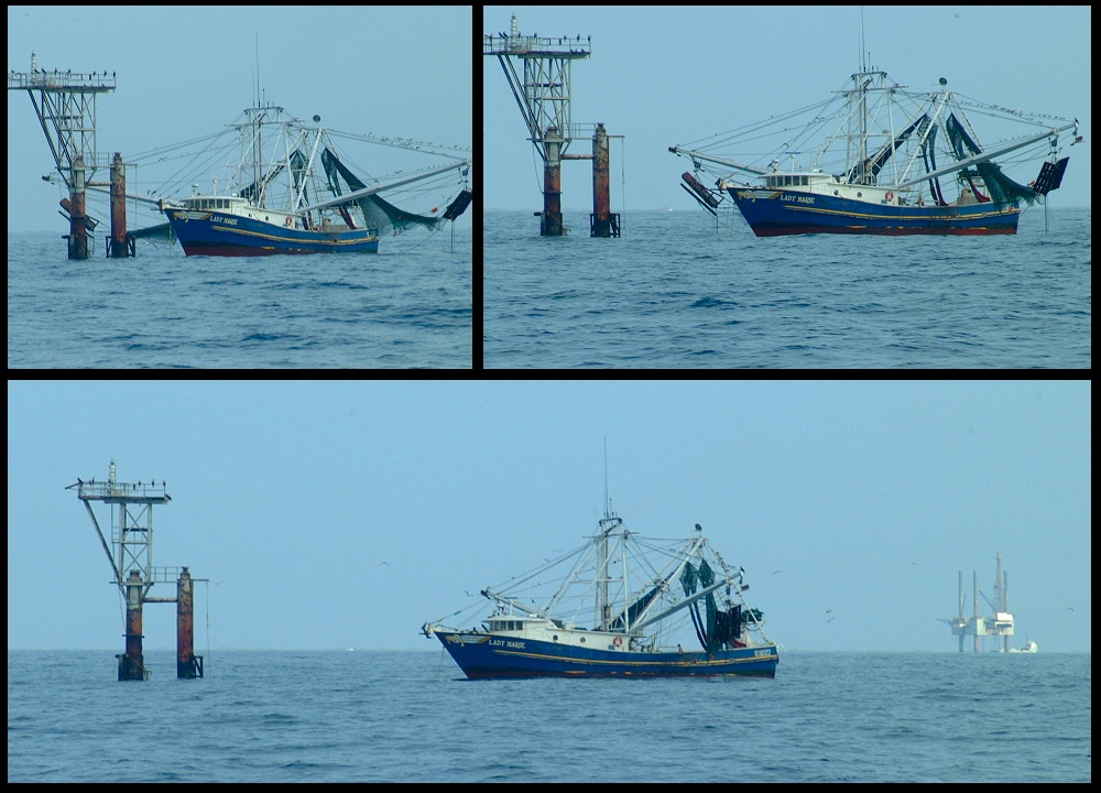 (19) montage (shrimper).jpg   (1000x720)   251 Kb                                    Click to display next picture